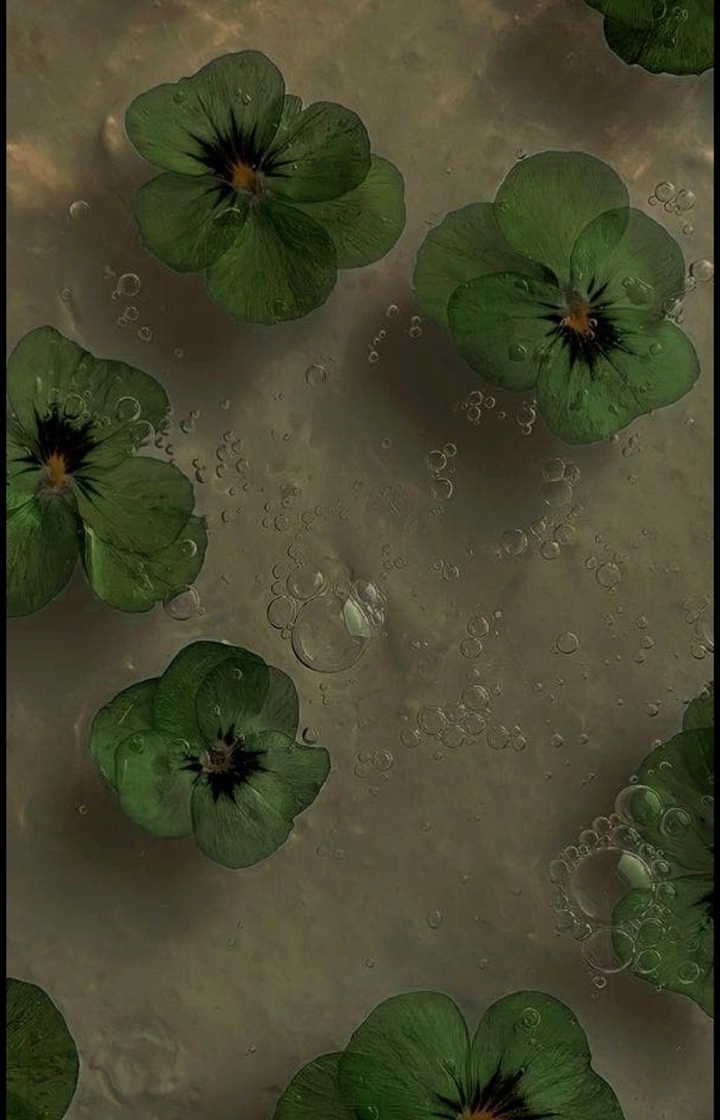 unnamed image